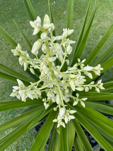 Send your best photos from Maui County to mauiphotos@mauinews.com for a chance to see them featured on our website and in our weekly print edition.